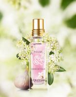 Dennis Pedersen Still Life Photographer(untitled) 